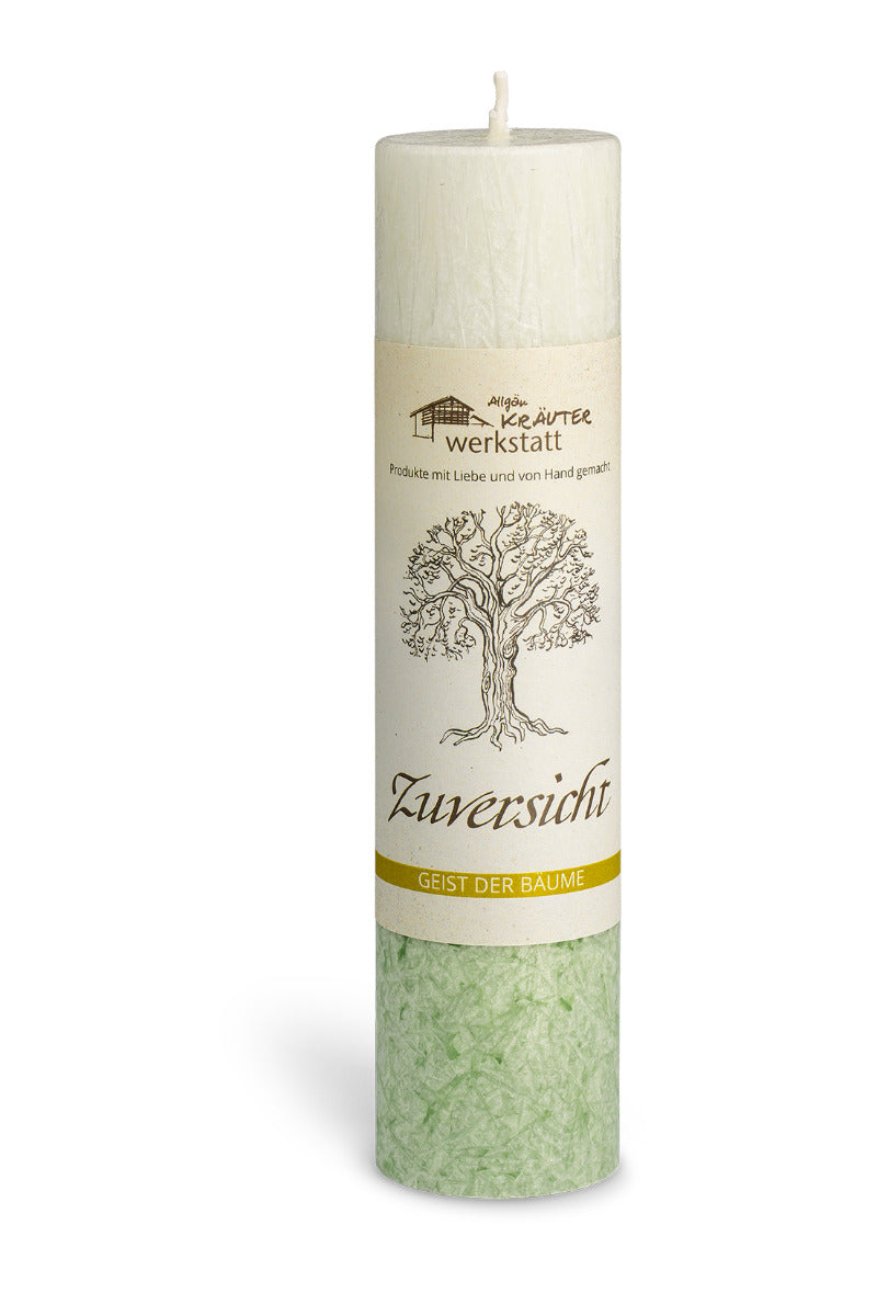 Zuversicht - Der Bergahorn