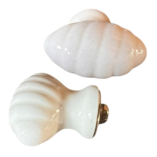 petit bouton de meuble en forme de coquillage
