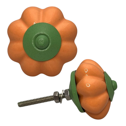 Bouton de meuble orange/vert