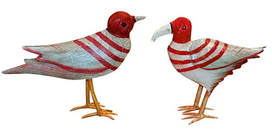 Vogel rot