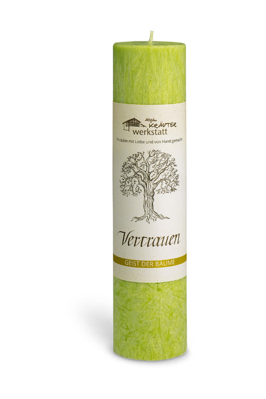 Vetrauen - Die Birke